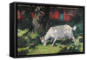 Goat in the Garden, C. 1903-5-Hans Am Ende-Framed Stretched Canvas