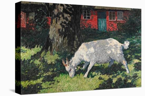 Goat in the Garden, C. 1903-5-Hans Am Ende-Stretched Canvas