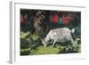 Goat in the Garden, C. 1903-5-Hans Am Ende-Framed Giclee Print