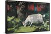 Goat in the Garden, C. 1903-5-Hans Am Ende-Framed Stretched Canvas