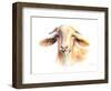 Goat IV-Lanie Loreth-Framed Art Print