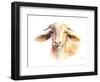 Goat IV-Lanie Loreth-Framed Art Print