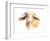 Goat IV-Lanie Loreth-Framed Art Print