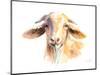 Goat IV-Lanie Loreth-Mounted Art Print