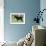 Goat Kid Side View-null-Framed Photographic Print displayed on a wall