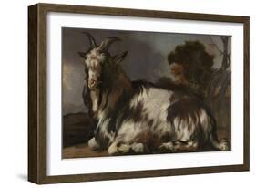 Goat Lying Down-Jan Baptist Weenix-Framed Art Print