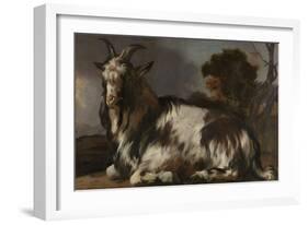 Goat Lying Down-Jan Baptist Weenix-Framed Art Print