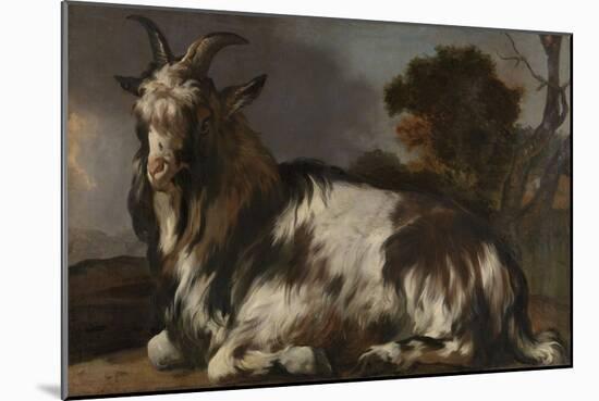 Goat Lying Down-Jan Baptist Weenix-Mounted Art Print