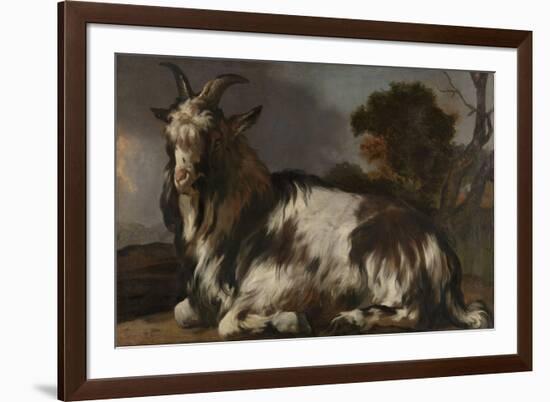 Goat Lying Down-Jan Baptist Weenix-Framed Premium Giclee Print