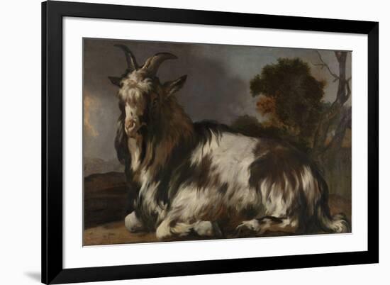 Goat Lying Down-Jan Baptist Weenix-Framed Premium Giclee Print