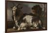 Goat Lying Down-Jan Baptist Weenix-Framed Art Print