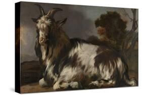 Goat Lying Down-Jan Baptist Weenix-Stretched Canvas