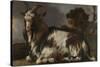 Goat Lying Down-Jan Baptist Weenix-Stretched Canvas