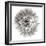 Goat's Beard 4-Jim Christensen-Framed Photographic Print