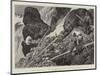 Goat-Shooting in the Cascade Mountains, British Columbia-Charles Edwin Fripp-Mounted Giclee Print