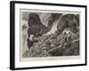 Goat-Shooting in the Cascade Mountains, British Columbia-Charles Edwin Fripp-Framed Giclee Print