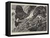 Goat-Shooting in the Cascade Mountains, British Columbia-Charles Edwin Fripp-Framed Stretched Canvas