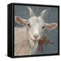 Goat with Holly-Mary Miller Veazie-Framed Stretched Canvas
