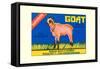 Goat-null-Framed Stretched Canvas