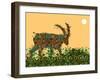 Goat-Teofilo Olivieri-Framed Giclee Print