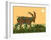 Goat-Teofilo Olivieri-Framed Giclee Print