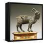 Goat-Andrea Riccio-Framed Stretched Canvas