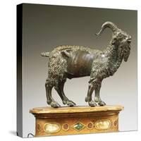 Goat-Andrea Riccio-Stretched Canvas