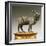 Goat-Andrea Riccio-Framed Giclee Print