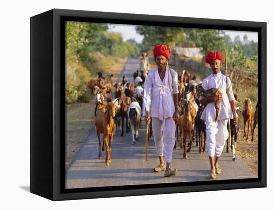 Goatherds, Bijaipur, Rajasthan, India, Asia-Bruno Morandi-Framed Stretched Canvas