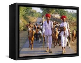 Goatherds, Bijaipur, Rajasthan, India, Asia-Bruno Morandi-Framed Stretched Canvas
