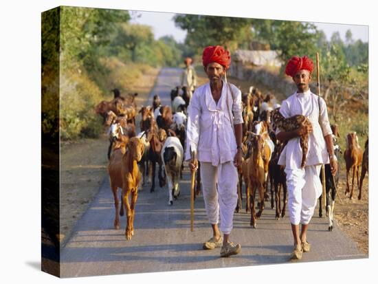 Goatherds, Bijaipur, Rajasthan, India, Asia-Bruno Morandi-Stretched Canvas