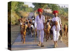 Goatherds, Bijaipur, Rajasthan, India, Asia-Bruno Morandi-Stretched Canvas