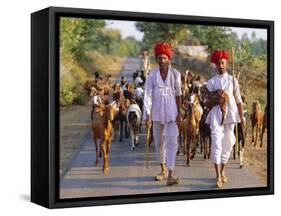 Goatherds, Bijaipur, Rajasthan, India, Asia-Bruno Morandi-Framed Stretched Canvas