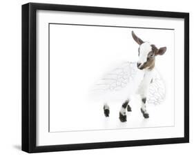 Goats 003-Andrea Mascitti-Framed Photographic Print