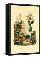 Goats, 1833-39-null-Framed Stretched Canvas