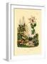 Goats, 1833-39-null-Framed Giclee Print