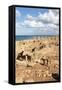 Goats Going into the Bath House Ruins, Apollonia, Libya, North Africa, Africa-Oliviero Olivieri-Framed Stretched Canvas