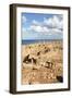 Goats Going into the Bath House Ruins, Apollonia, Libya, North Africa, Africa-Oliviero Olivieri-Framed Photographic Print