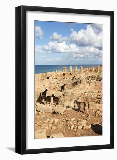 Goats Going into the Bath House Ruins, Apollonia, Libya, North Africa, Africa-Oliviero Olivieri-Framed Photographic Print