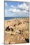 Goats Going into the Bath House Ruins, Apollonia, Libya, North Africa, Africa-Oliviero Olivieri-Mounted Photographic Print