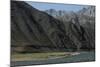 Goats graze along the riverbank of the Panjshir River in Afghanistan, Asia-Alex Treadway-Mounted Photographic Print