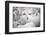 Goats in Andalucia, Spain, Europe-John Alexander-Framed Photographic Print