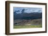 Goats in the Remote Himalayan Region of Ladakh Near Tso Moriri, Ladakh, India, Asia-Alex Treadway-Framed Photographic Print