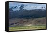 Goats in the Remote Himalayan Region of Ladakh Near Tso Moriri, Ladakh, India, Asia-Alex Treadway-Framed Stretched Canvas