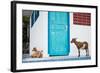 Goats, Indonesia, Southeast Asia-John Alexander-Framed Photographic Print