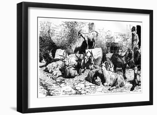 Goats of the Roman Countryside, Italy, 19th Century-J Cauchard-Framed Giclee Print