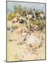 Goats on a Hillside, Tangier (W/C with Touches of Gouache on Paper)-Joseph Crawhall-Mounted Giclee Print