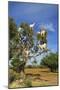 Goats on Tree, Morocco, North Africa, Africa-Jochen Schlenker-Mounted Premium Photographic Print