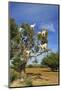 Goats on Tree, Morocco, North Africa, Africa-Jochen Schlenker-Mounted Photographic Print