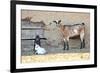 Goats-manchu-Framed Photographic Print